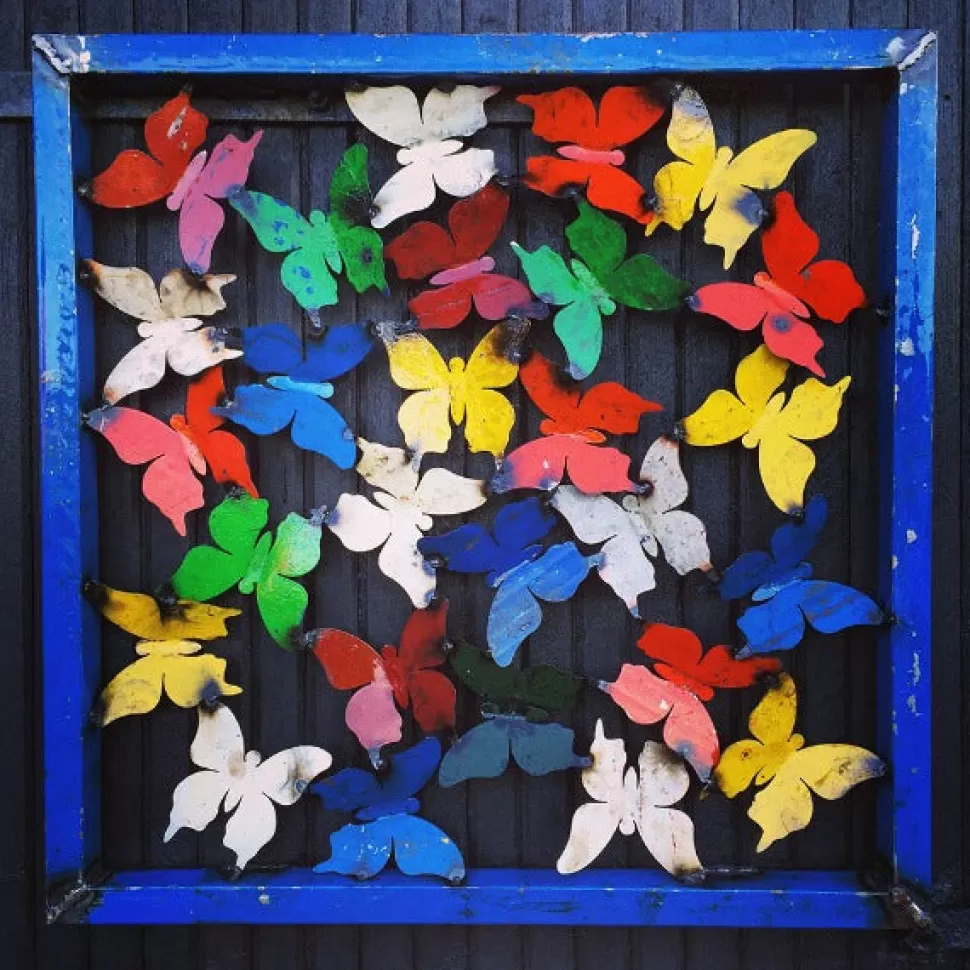 Think Outside Wall Art | Butterfly Framed Wall Panel